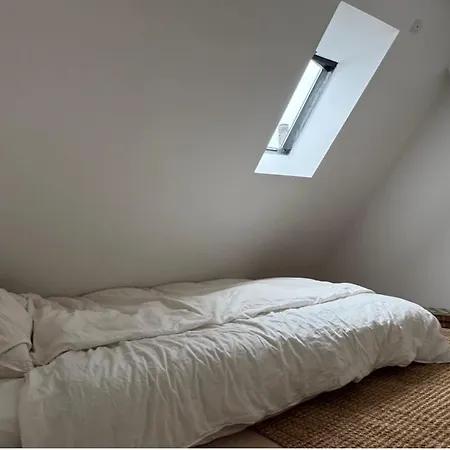 Cozy Loft In Heart Of Noerrebro *