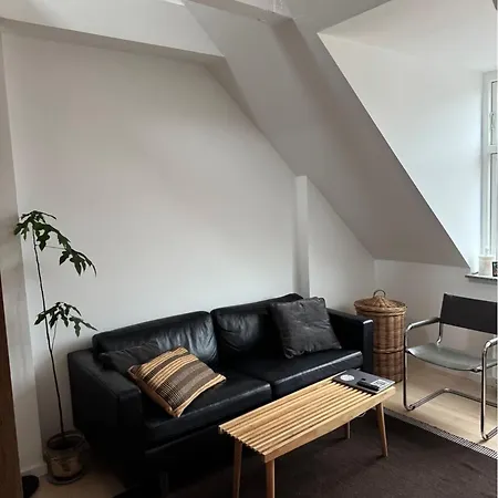 Cozy Loft In Heart Of Noerrebro *