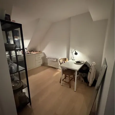 Cozy Loft In Heart Of Noerrebro *